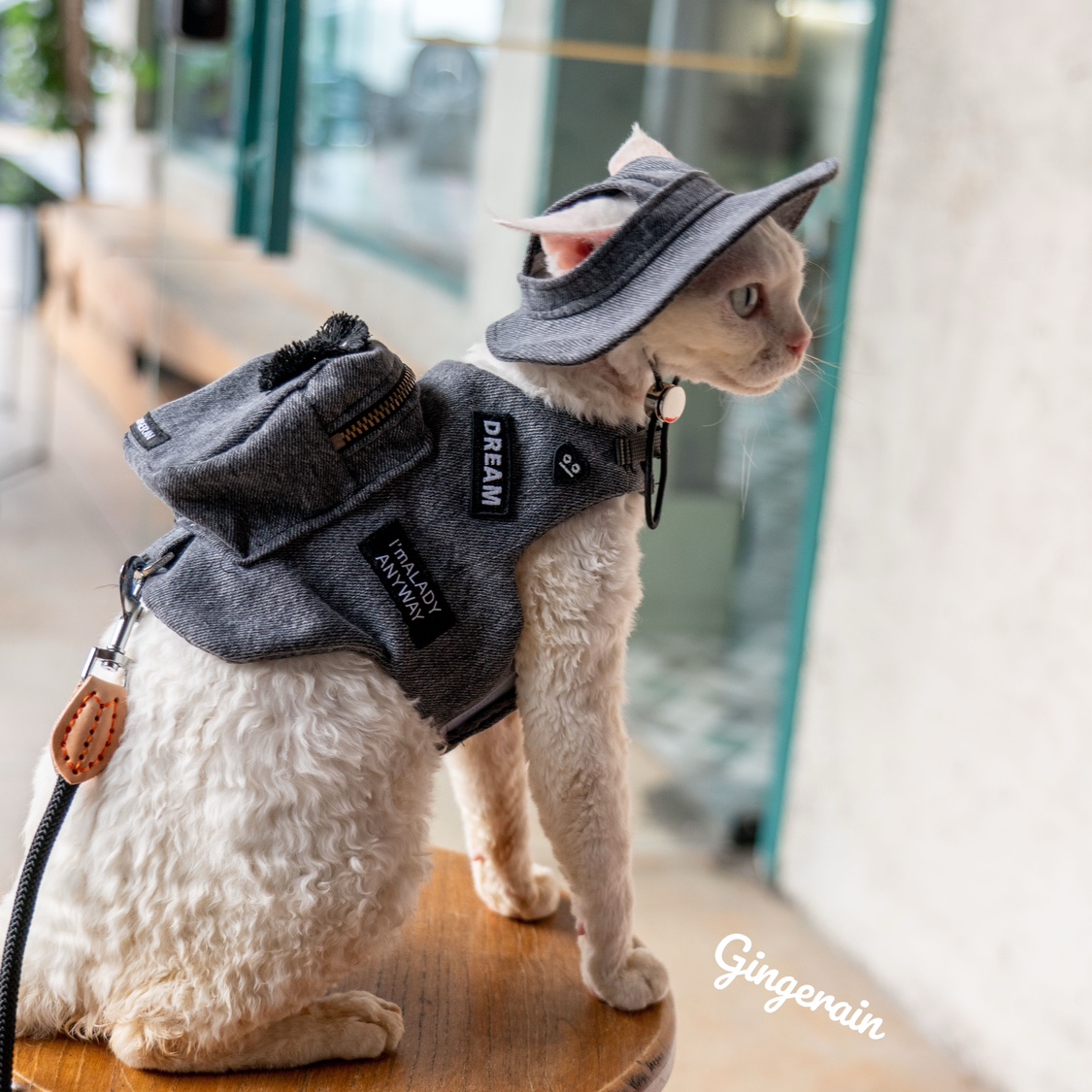 Handmade Luxury Travel Cat Car - đánh giá và giá Luxury Bags Cute