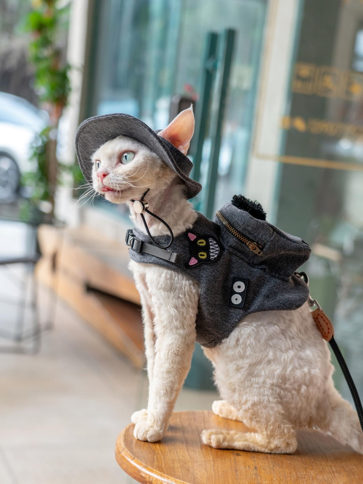Handmade Luxury Travel Cat Car - đánh giá và giá Luxury Bags Cute