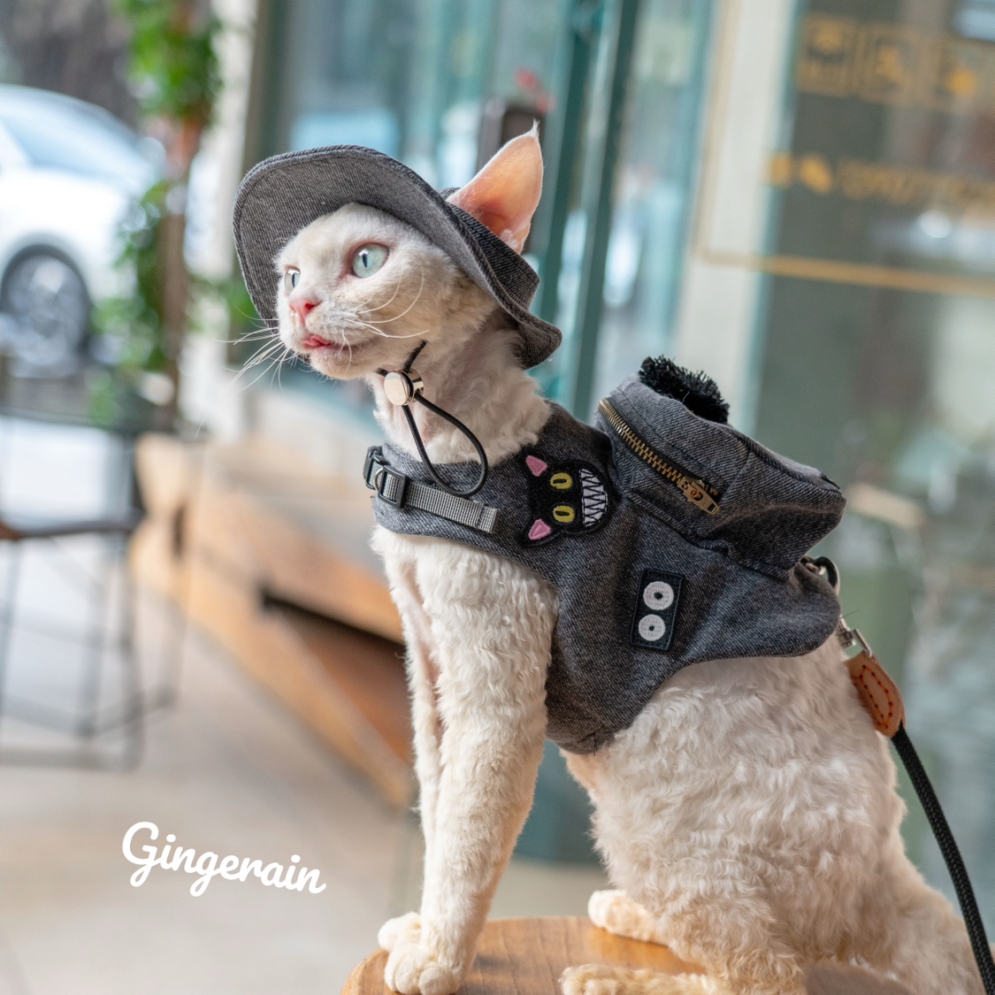 Handmade Luxury Travel Cat Car - đánh giá và giá Luxury Bags Cute