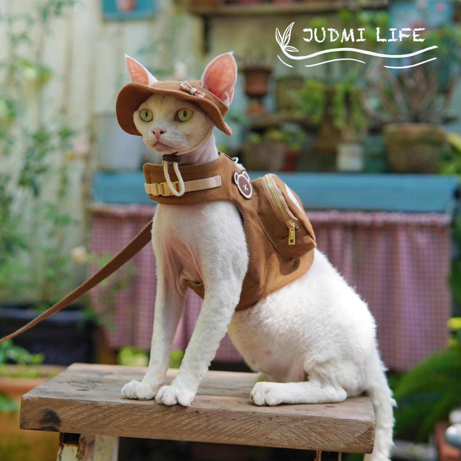 Luxury Travel Devon Cat Carrie - đánh giá và giá Luxury Bags Cute