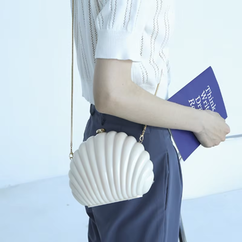 Lady Mini Shell Bag Acrylic Hi - đánh giá và giá Luxury Bags Cute